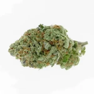 Lemon Haze – THC: 19 %