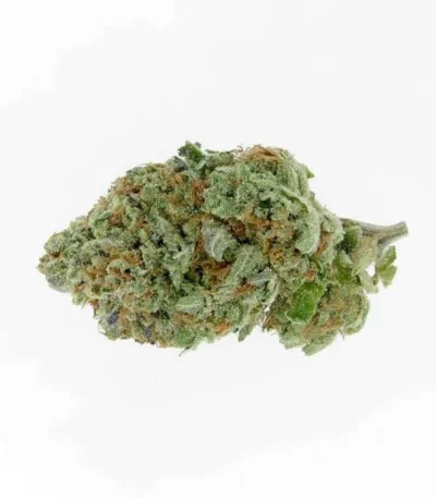 Lemon Haze – THC: 19 %