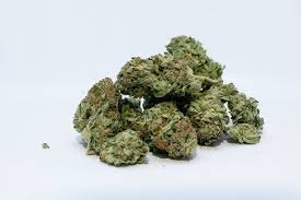 Gelato – THC: 21 %